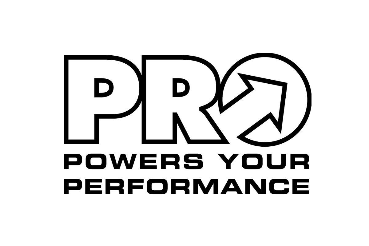 PRO logo